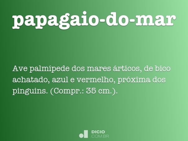 papagaio-do-mar