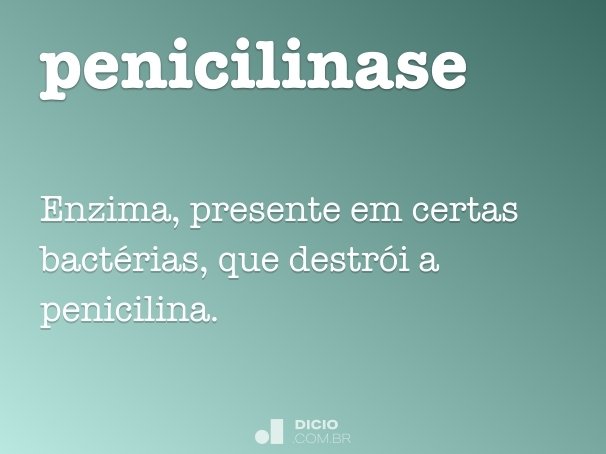penicilinase