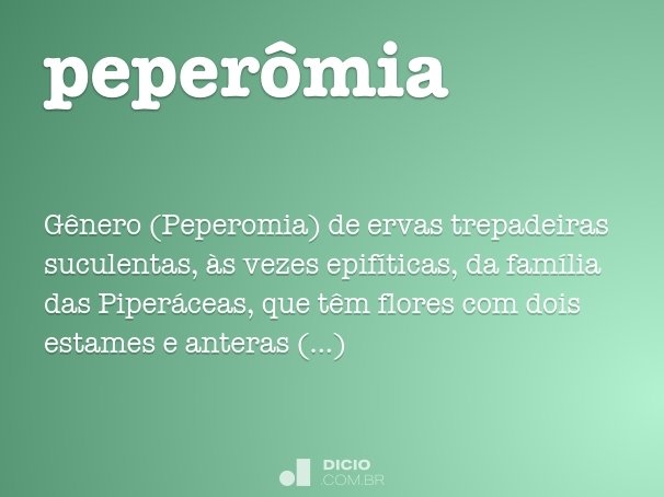 peperômia