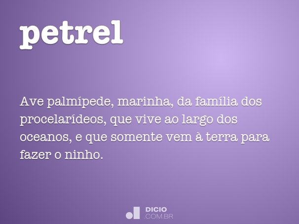 petrel