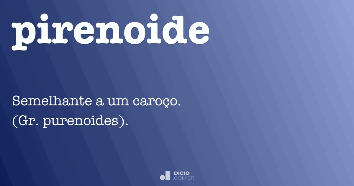 Pirenoide Dicio, Dicionário Online de Português