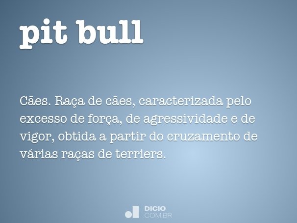 pit bull