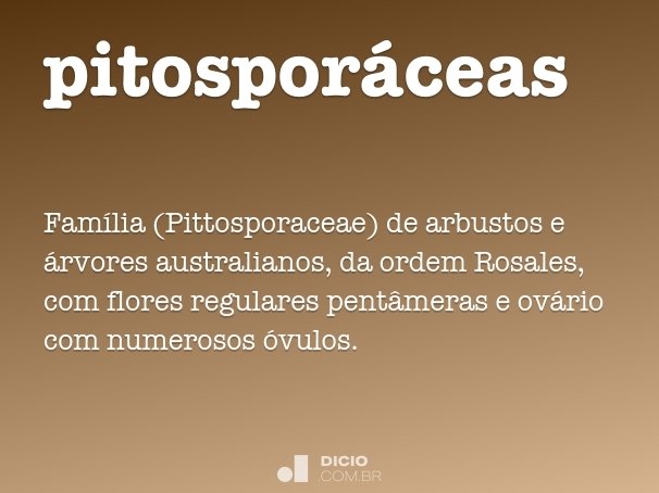 pitosporáceas