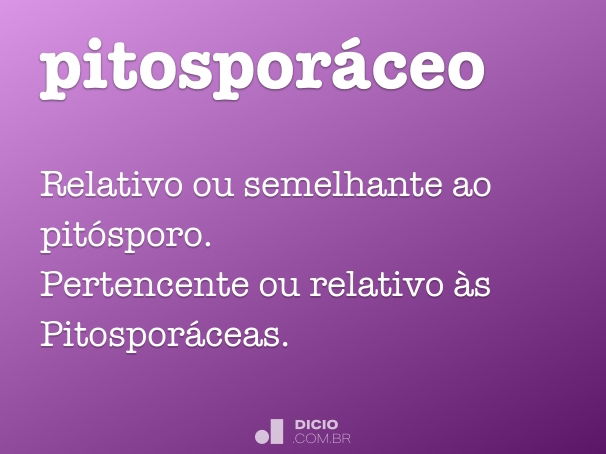 pitosporáceo