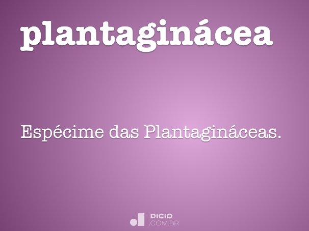 plantaginácea