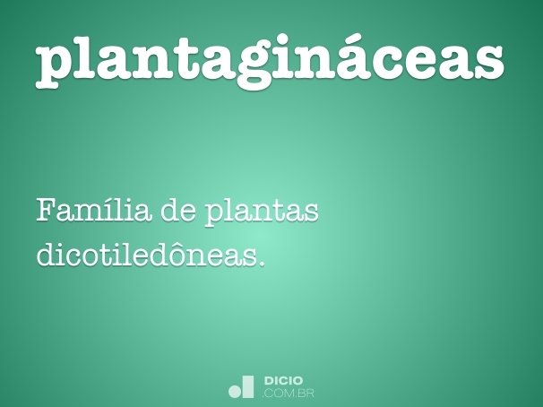 plantagináceas
