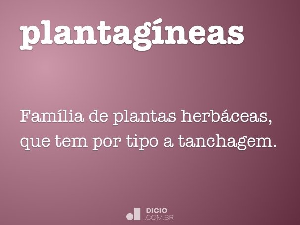 plantagíneas