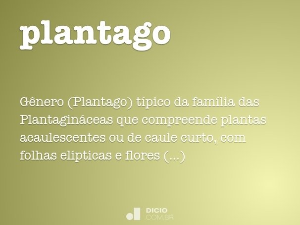 plantago