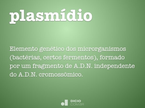 plasmídio