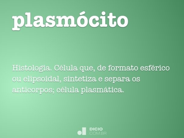 plasmócito