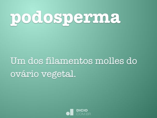 podosperma