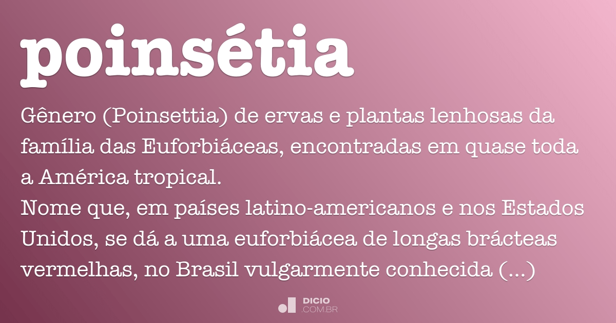 Poinsétia - Dicio, Dicionário Online de Português