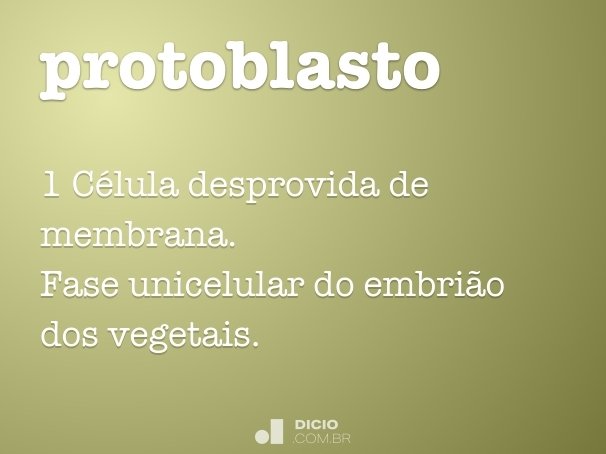 protoblasto
