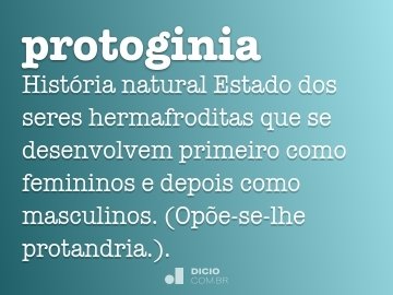 Protoginia - Dicio, Dicionário Online de Português