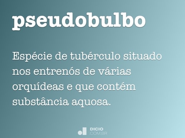 pseudobulbo