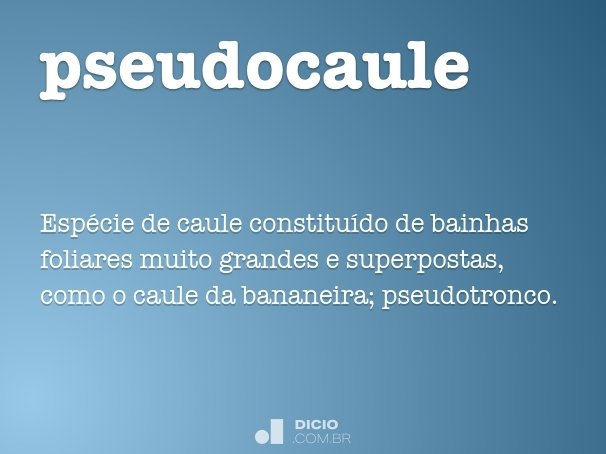 pseudocaule