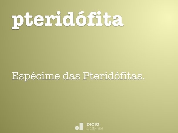 pteridófita