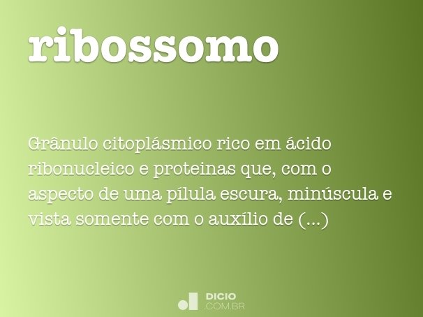 ribossomo