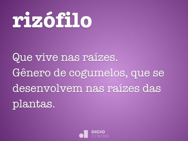 rizófilo