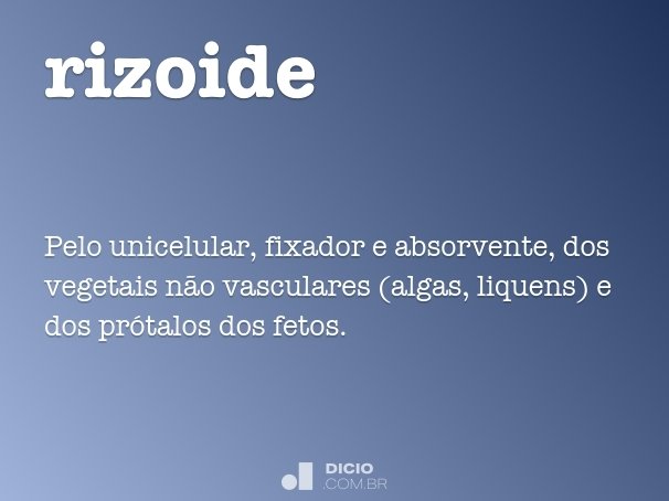 rizoide