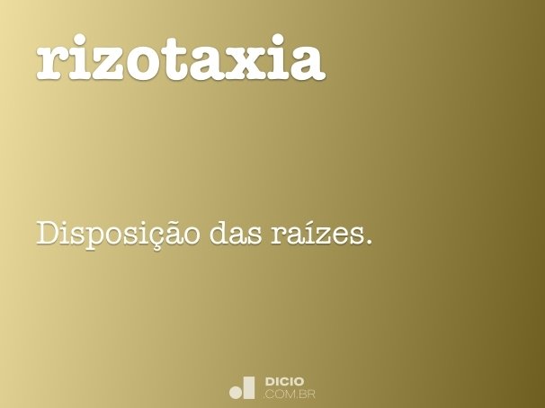 rizotaxia