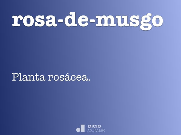 rosa-de-musgo