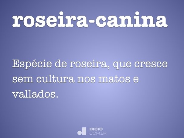 roseira-canina