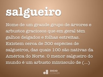 Lombalgia - Dicio, Dicionário Online de Português