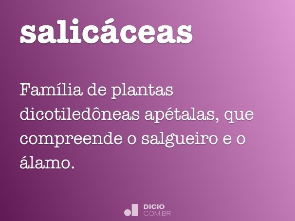 salicáceas