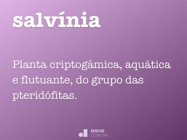 salvínia