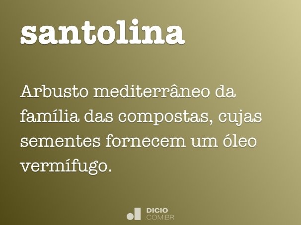 santolina