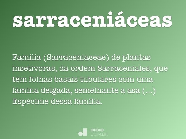 sarraceniáceas