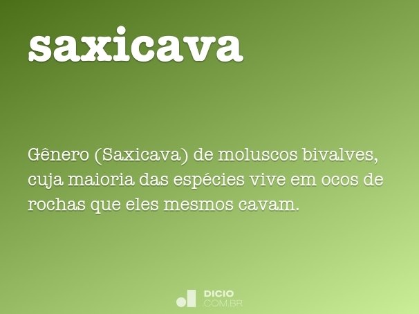 saxicava
