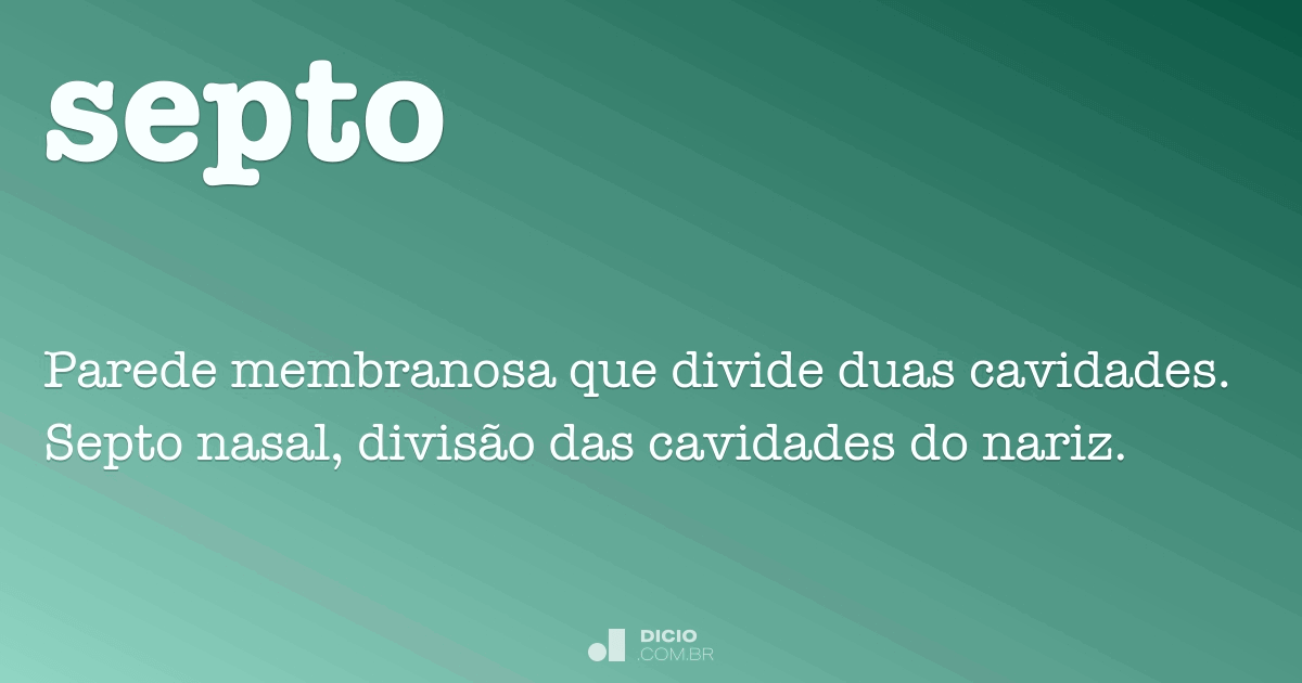 O que significa a palavra septo pelúcido? in 2023