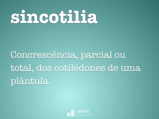 sincotilia