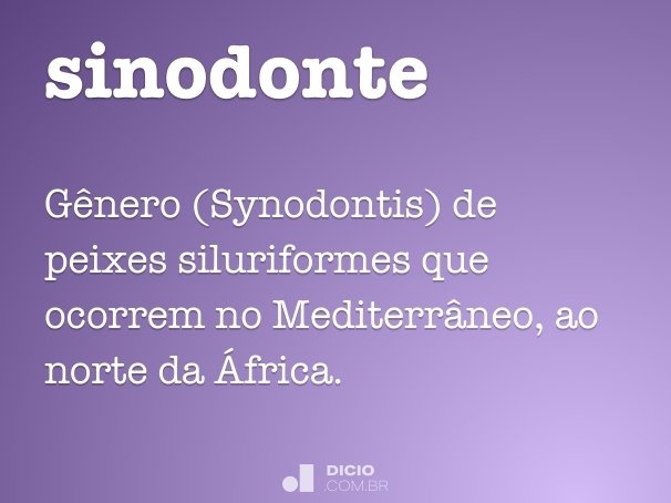 sinodonte