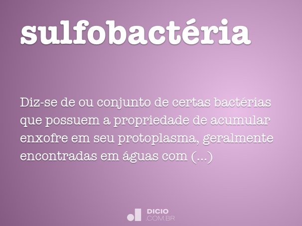 sulfobactéria
