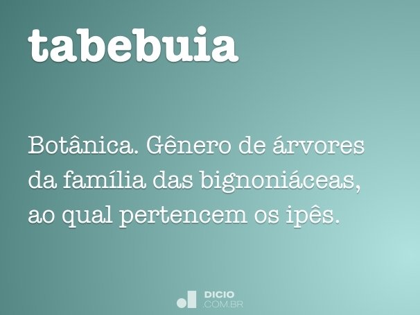 tabebuia