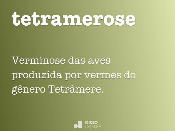 tetramerose