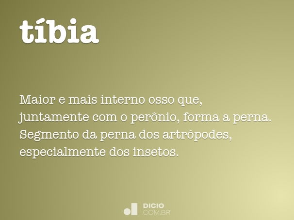 TIBIA CURIOSIDADES