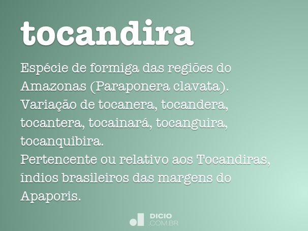 tocandira