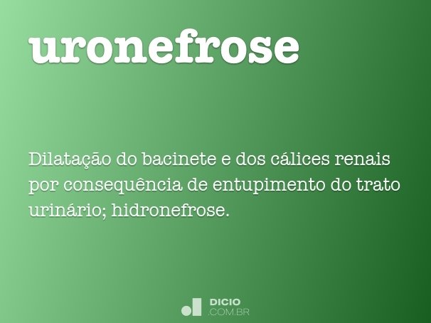 uronefrose