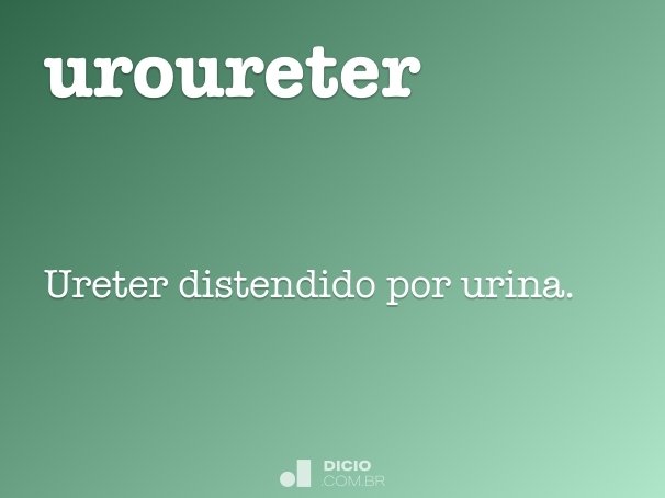 uroureter
