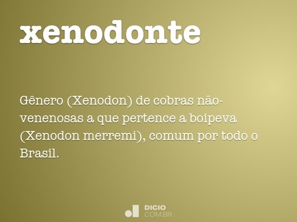 xenodonte