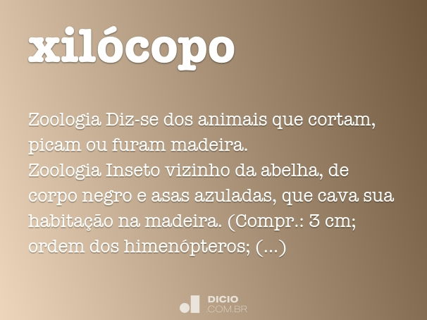 xilócopo