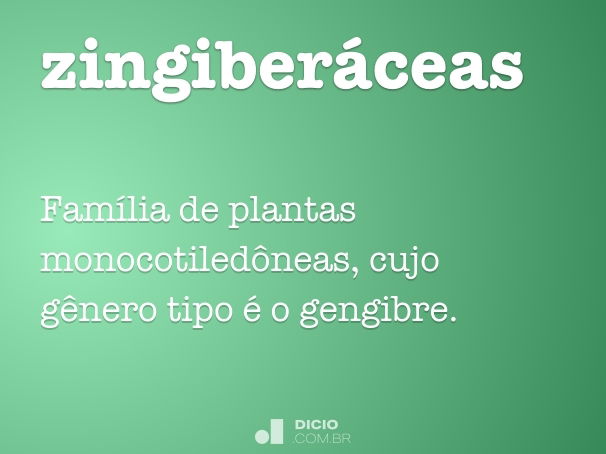 zingiberáceas